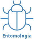 Logo da Comunidade